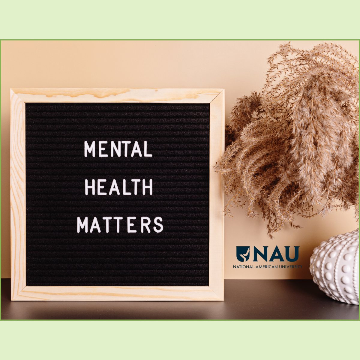 National American University’s Mental Health Initiative: Personal Wellness Days